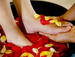 オプショナルツアーイメージ