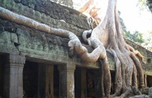 ＳＴＷオリジナル！充実のアンコールワット終日観光