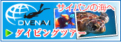 http://www.divenavi.com/saipan/