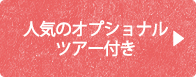 人気のオプショナル付きツアー