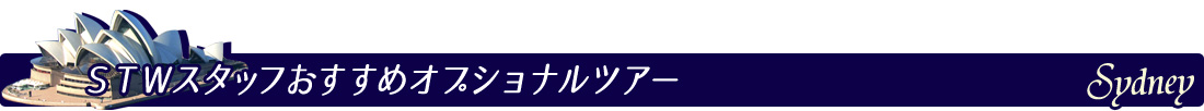 STWスタッフおすすめオプショナルツアー