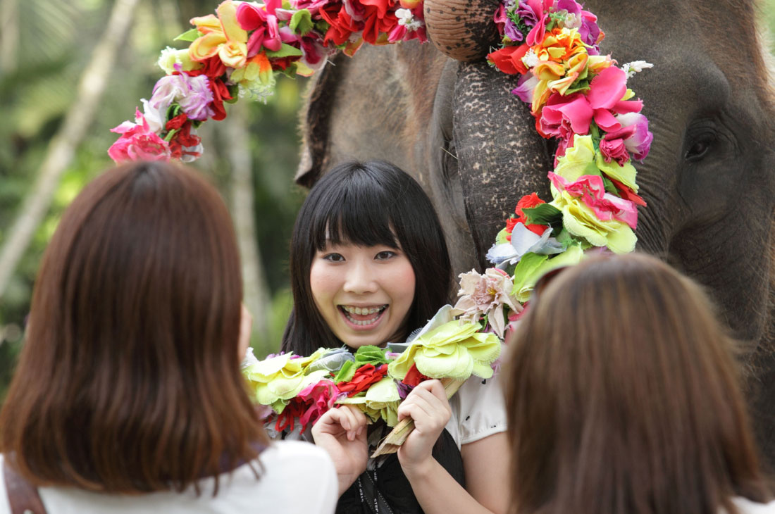 エレファントショーで象にお花をプレゼントしてもらい記念写真を撮ろう！