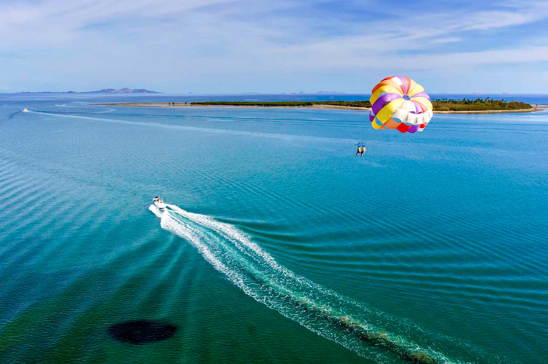 アクティビティ