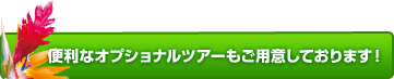 デナラウエリア・オプショナルツアーはこちら