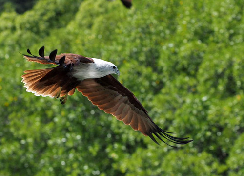 ランカウイ島イメージ5