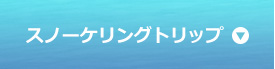 スノーケリングトリップ