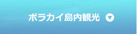 ボラカイ島内観光