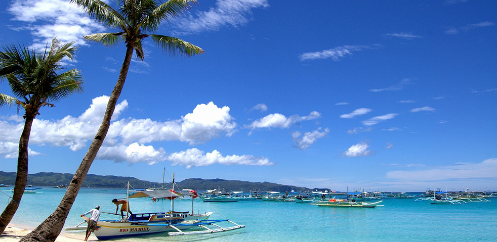 写真 海
