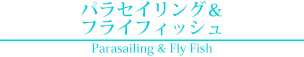 パラセイリング＆フライフィッシュ Parasailing & Fly Fish