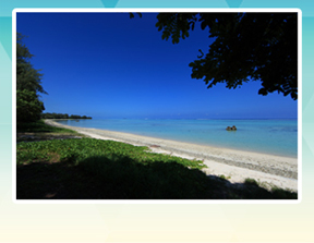 サイパン シュノーケリング体験