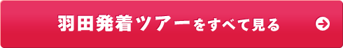 羽田発着ツアーをすべて見る