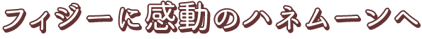 フィジーに感動のハネムーンへ