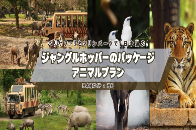 サファリパークと遊園地。バリ サファリ & マリン パークで1日中遊ぶ！ジャングルホッパー　パッケージ