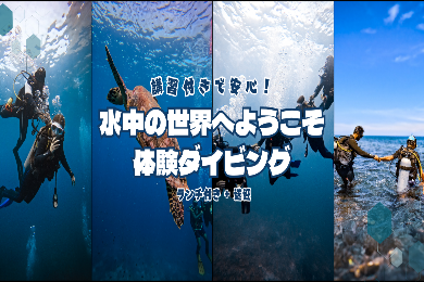 【体験ダイビング】水中の世界へようこそ
講習付き2本ダイビング