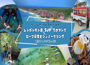【日本語ガイド】レンボンガン島SUPでのマングローブ探検＆シュノーケリング
