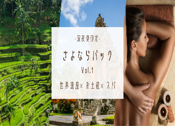 【日本語ガイド】【深夜便限定】
【午前/午後/世界遺産観光選択可】 
最終日限定-サヨナラパック-