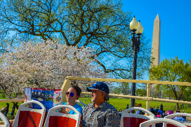 【日本語オーディオガイド】乗り降り自由‼
～ワシントンDC市内観光バスチケット～