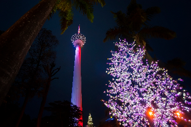 【日本語ガイド】【半日】夕方発 クアラルンプールナイト