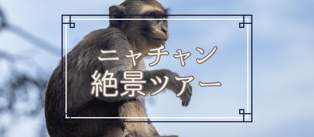 ＜2名以上参加＞【ニャチャン発】絶景ツアー モンキーアイランド付き ~ベトナムのウユニ・インドシナ半島最大の塩田と穴場ビーチ~