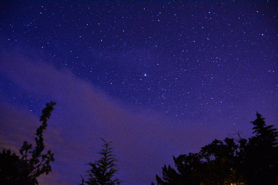 【日本語ガイド】国際 ダークスカイ コミュニティ登録セドナ星空観察ツアー